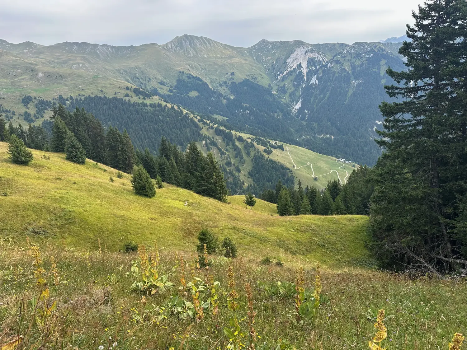 High pastures of Mont Jovet overlooking the Bozel valley in summer
