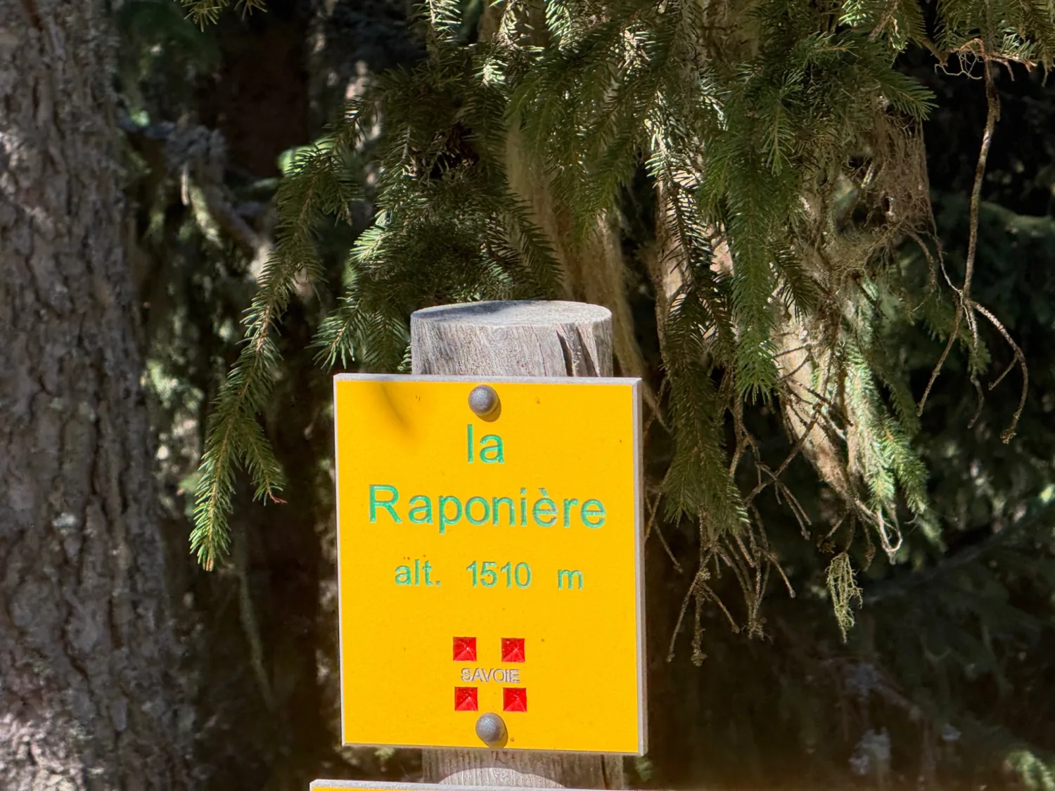 Alpages et chalets sur les hauteurs de Tincave