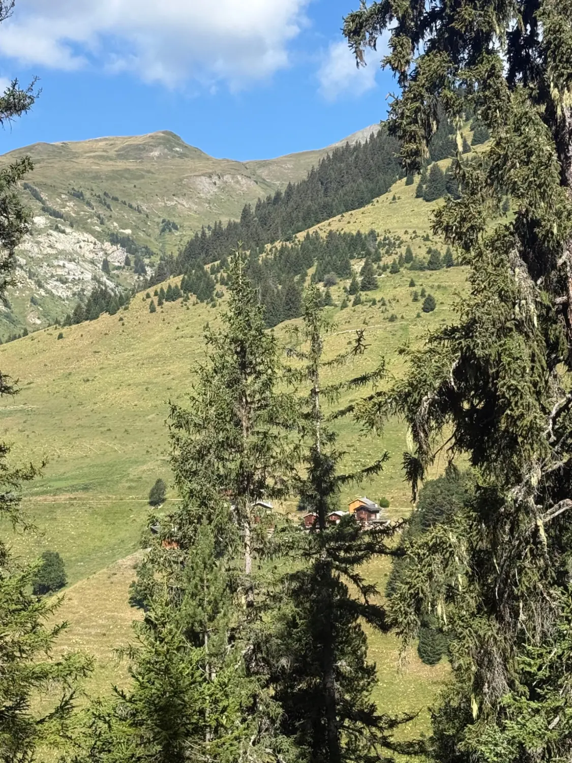 Panneau de la Raponnière à 1510 mètres dans la forêt de Tincave