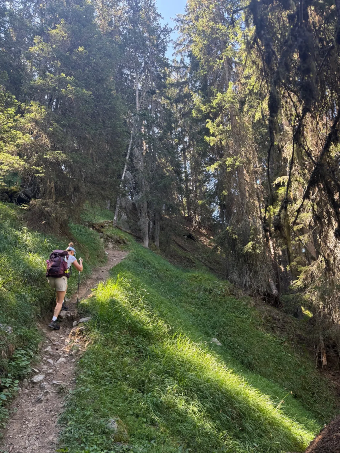 Randonneuse sur le sentier forestier de la Croix de la Porcière
