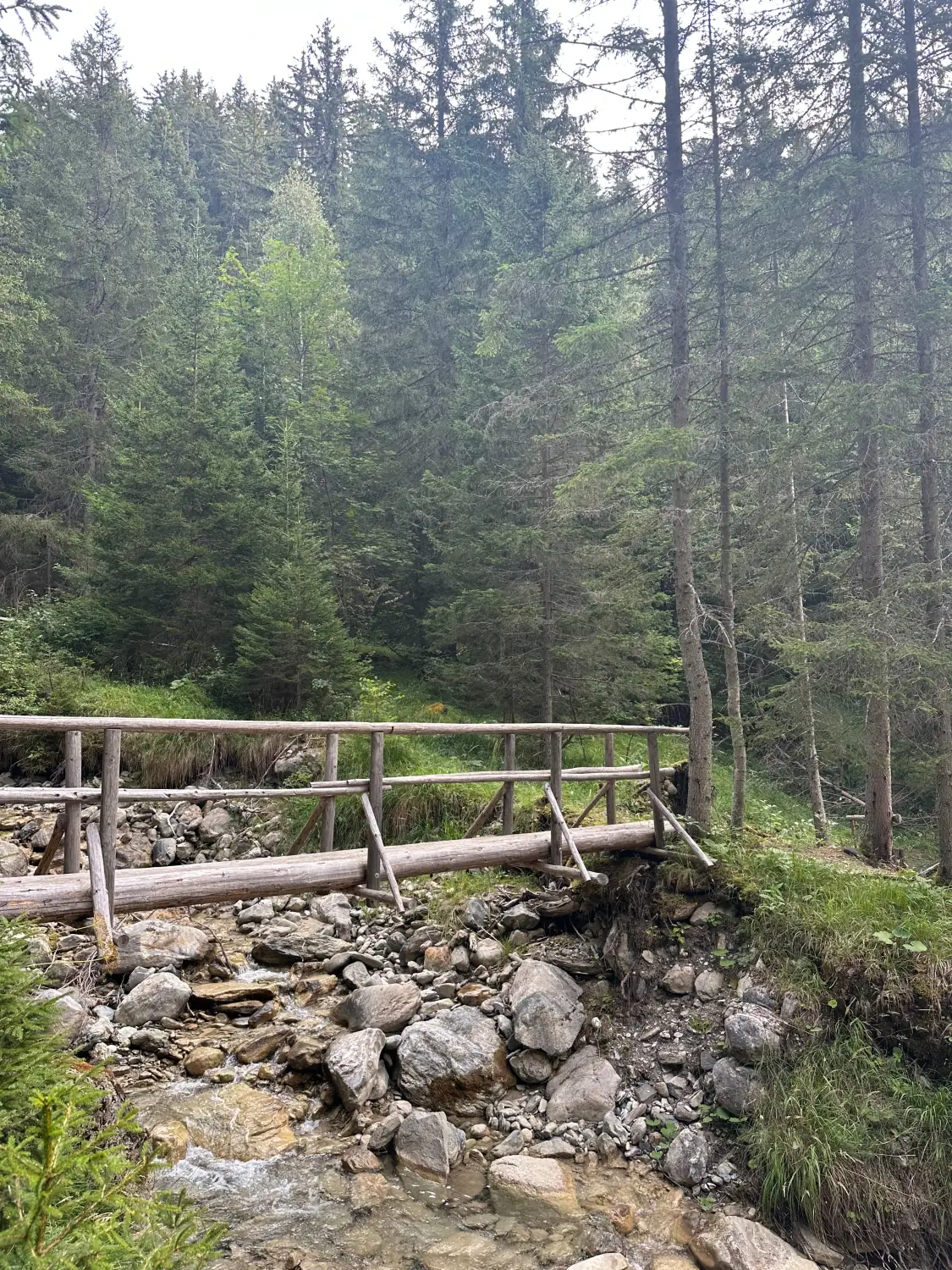 Wooden footbridge over a rocky stream bed in the Mont Jovet forest