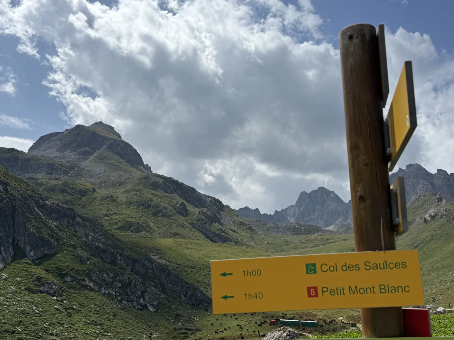 Panneau de randonnée Col des Saulces 1h00 et Petit Mont Blanc 1h40, itinéraire numéro 8, au-dessus des alpages